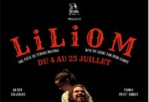 AVIGNON 2026, festival In et Off : Liliom, Romance, Lichen, Le poids de l’eau, Oiseau, Poièsis, Sillages…, par André Robert